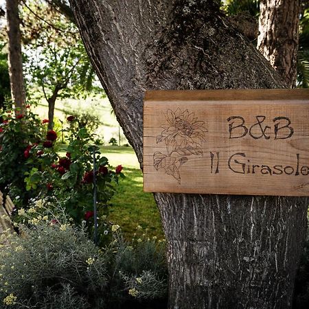 לינה וארוחת בוקר Basciano Il Girasole מראה חיצוני תמונה