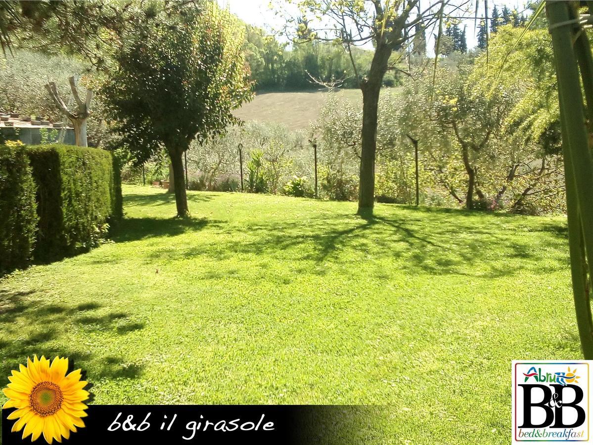 לינה וארוחת בוקר Basciano Il Girasole מראה חיצוני תמונה
