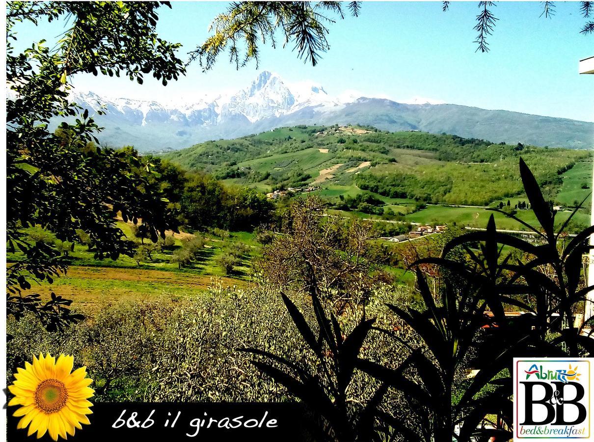 לינה וארוחת בוקר Basciano Il Girasole מראה חיצוני תמונה